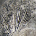 n° 106006 - Picropharmacolite - L' Eguisse (Mine) - Duranus - Alpes-Maritimes