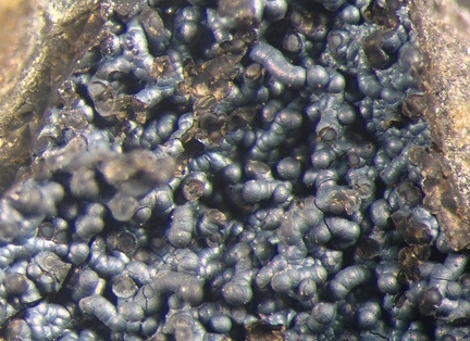n°107015 - Quartz	Var. Calcédoine - Saint Julien (Carrière) - Saint Julien Boutières - Ardèche 