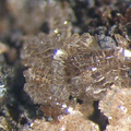n°107028 - Hémimorphite - La Rouvière (Mine) - Sainte Marguerite-Lafigère - Ardèche 