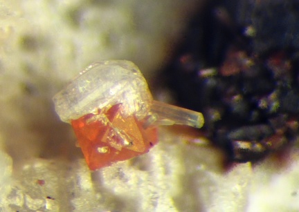 n°115059 - Zircon Fluorapatite - Carrière de Liocamp - 	Puy de Menoyre - Menet - Cantal