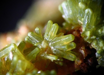 n°119029 - Pyromorphite - Chantier A89 - Ussel - Corrèze