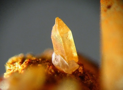n°120016 - wulfenite -  Appieto (carrière) - Corse-du-Sud