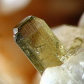 n°120020 - Epidote-Ca - Canari (mine) - Haute-Corse