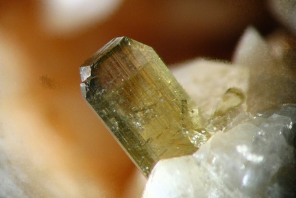 n°120020 - Epidote-Ca - Canari (mine) - Haute-Corse