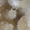 n°121006 - Aragonite - Carrière de Pouillenay - Côte d'Or