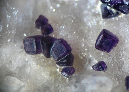 n°123013 - Fluorite - Montebras (Carrière) - Soumans - Creuse