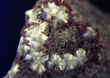 n°130065 - Alumohydrocalcite - Mas Dieu - Laval-Pradel - Gard