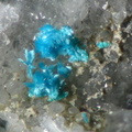 n°138133 - Serpierite - La Poype (mine) - Reventin-Vaugris - Isère