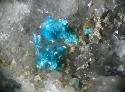 n°138133 - Serpierite - La Poype (mine) - Reventin-Vaugris - Isère