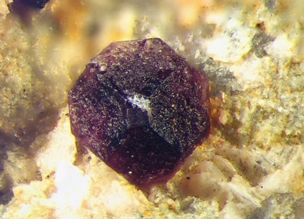 n°142110 - Fluorite - Carrière des Gottes - Saint Julien Molin Molette - Loire