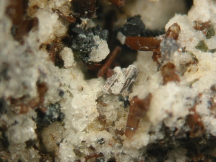 n°163150(1) - Fluorapatite - Puy Paillaret - Besse-et-St-Anastaise - Puy-de-Dôme