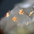  n°163198 - Pyromorphite - Chez Roffin (laverie) - Lachaux - Puy-de-Dôme