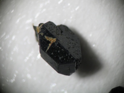 n°163225(1) - Augite - Lac Montcineyre - Compains - Puy-de-Dôme