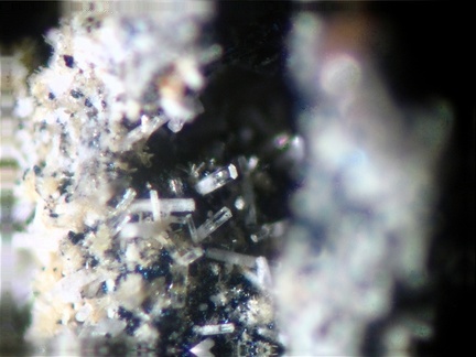 n°163228(1) - Microsommite - Puy de Tunisset (Carrière) - Saint-Ours-les-Roches - Puy-de-Dôme