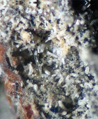 n°163228(2) - Microsommite - Puy de Tunisset (Carrière) - Saint-Ours-les-Roches - Puy-de-Dôme