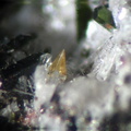 n°163229 - Titanite - Puy de la Perdrix - Super Besse - Puy-de-Dôme