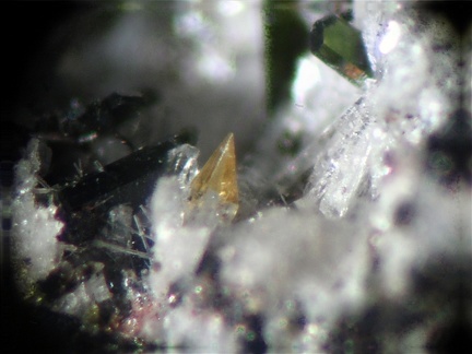 n°163229 - Titanite - Puy de la Perdrix - Super Besse - Puy-de-Dôme