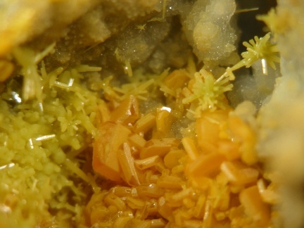 n°169102(1) -  Wulfenite Pyromorphite - La Croix des Oncins (Haldes) -  Les Ardillats - Rhône