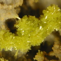 n°169103 - Pyromorphite - La Croix des Oncins (Haldes) - Les Ardillats - Rhône