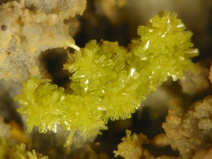 n°169103 - Pyromorphite - La Croix des Oncins (Haldes) - Les Ardillats - Rhône