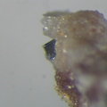 n°169114(1) - Anatase - Monterniers (Mine) - Lantignié - Rhône