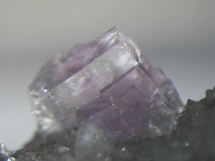 n°169115 - Fluorite - Monterniers (Mine) - Lantignié - Rhône