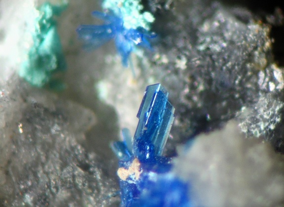 n°169131 - Linarite - La Verrière (Haldes Mines) - Les Ardillats - Rhône - Rhône