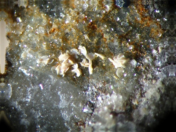 n°169137 - Synchysite-(Ce)  Anatase - Buffin (Carrière) RN 86	 - Ampuis - Rhône