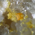 n°169146 - Wulfénite Mimétite -  Propières (mine) -  Rhône