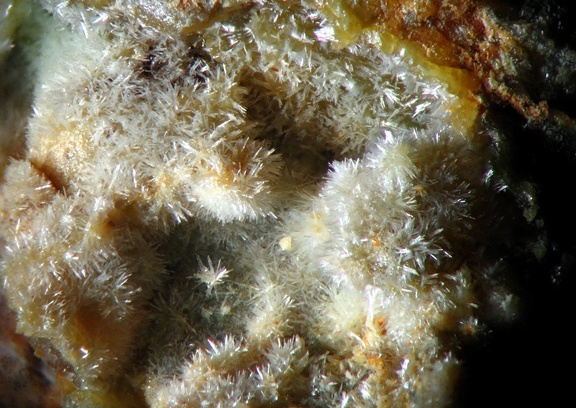 n°169147 - Pyromorphite - Propières (mine) -  Rhône