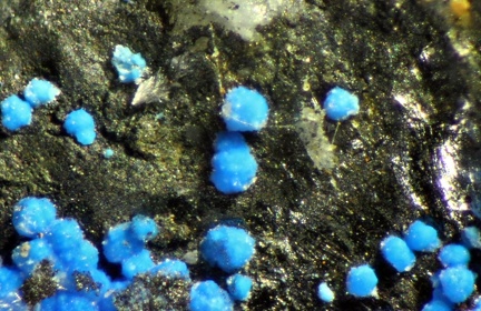 n°130085 - Cyanotrichite - Arrigas (Mine) - Gard