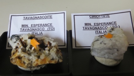 Nouvelles espèces minérales découvertes à Tavagnasco