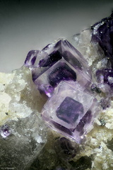 Fluorite - Les Gottes (Carrière) - St Julien Molin-Molette - Loire