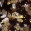 n°112182 - Pyromorphite Plumbogummite -  Le Kaymar (mine) - Pruines - Aveyron
