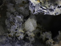 Pyrénées-Orientales