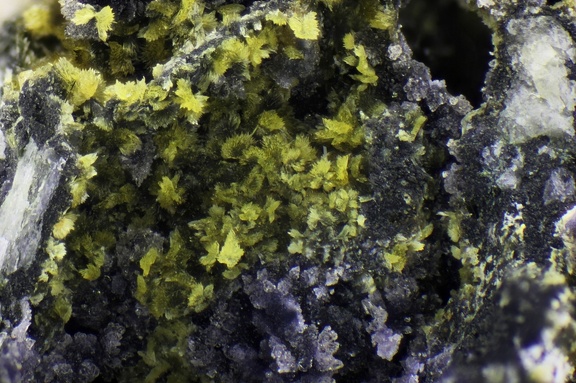 n°166056 - Stewartite Strengite - Massif des Alberes - Collioure - Pyrénées-Orientales