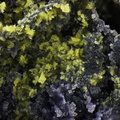 n°166056 - Stewartite Strengite - Massif des Alberes - Collioure - Pyrénées-Orientales