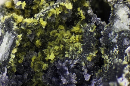 n°166056 - Stewartite Strengite - Massif des Alberes - Collioure - Pyrénées-Orientales
