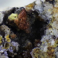 n° 166059 - Laueite Variscite -  Massif des Alberes - Collioure - Pyrénées-Orientales
