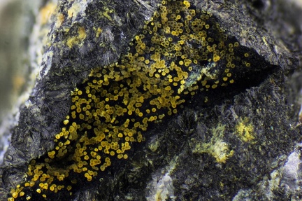n°166064 - Cacoxenite Frondelite - Massif des Alberes - Collioure - Pyrénées-Orientales