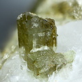 n°138169 - Epidote - La Balme d'Auris - Auris - Isère