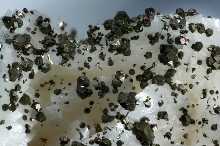 n°159032 - Pyrite Marcasite Dolomite - Glageon (Carrière) - Avesnes sur Helpe - Nord