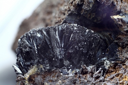 n°181152 - Pyrolusite - Alban - Le Fraysse (secteur) - Tarn