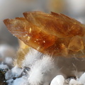 Calcite sur okenite -  La Réunion 