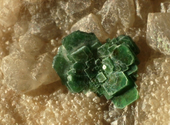 Torbernite - Montebras (Carrière) - Soumans - Creuse
