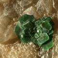 Torbernite - Montebras (Carrière) - Soumans - Creuse