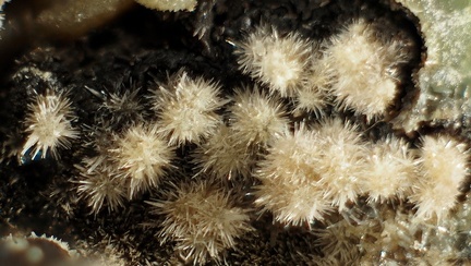 Pyromorphite - Sainte Sévère - Indre