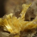 Mimétite fibreuse (Prixite) - les Molérats - Saône et Loire