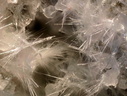 Natrolite Analcime - Bras de Cilaos - La Réunion