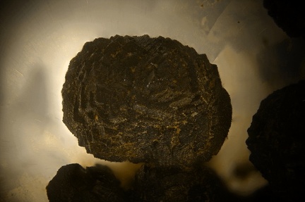n°163258 - Siderite - Pranal	- Bromont-Lamothe - Puy-de-Dôme